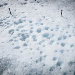 Bacteria may accelerate glacier melting